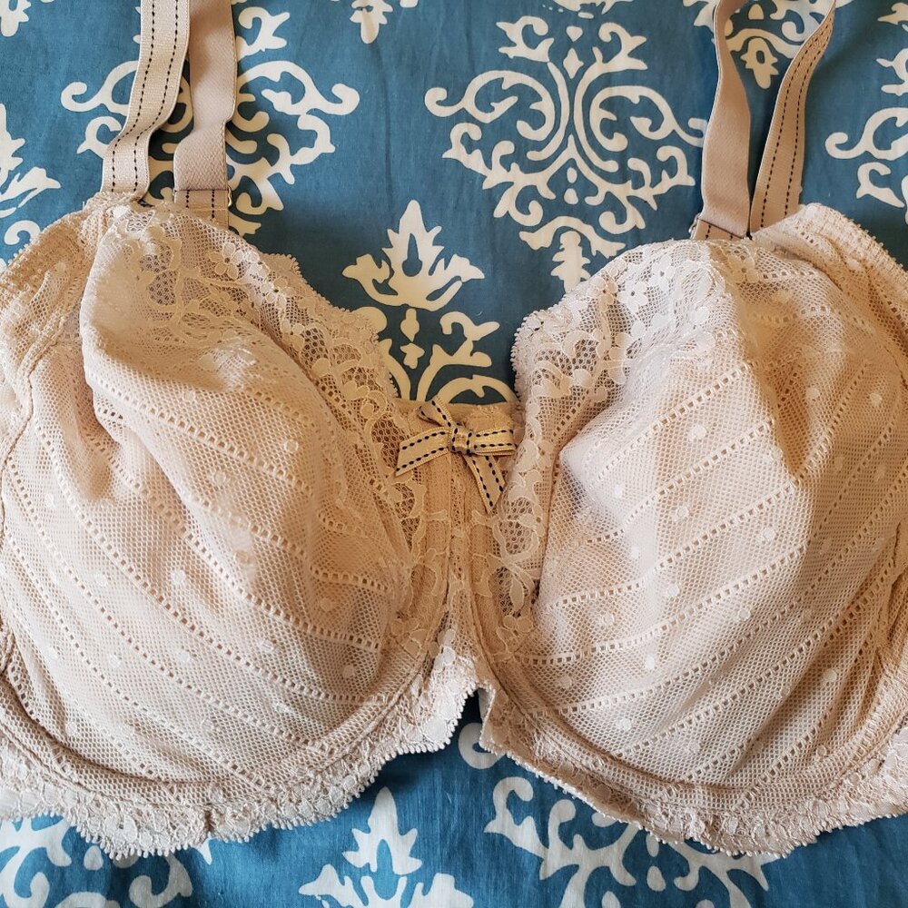 NWT Chantelle Rive Gauche 34DDDD underwire (34F UK)
